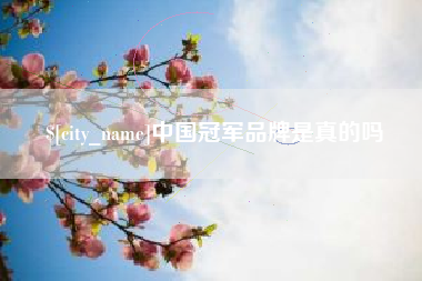 巴中中国冠军品牌是真的吗