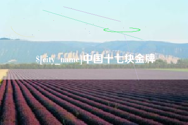 巴中中国十七块金牌
