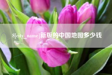 巴中新版的中国地图多少钱