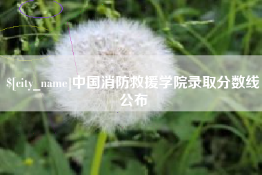巴中中国消防救援学院录取分数线公布