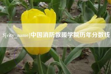 巴中中国消防救援学院历年分数线