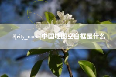 巴中中国地图空白框是什么