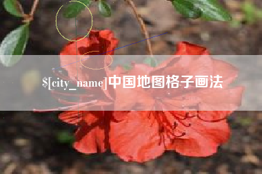 巴中中国地图格子画法