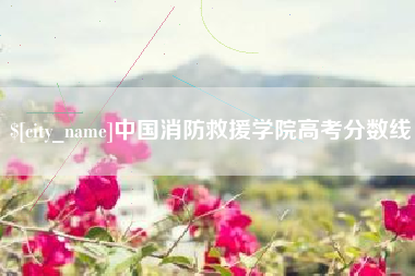 巴中中国消防救援学院高考分数线