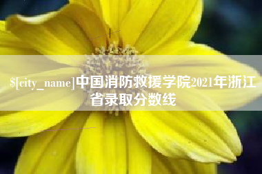 巴中中国消防救援学院2021年浙江省录取分数线