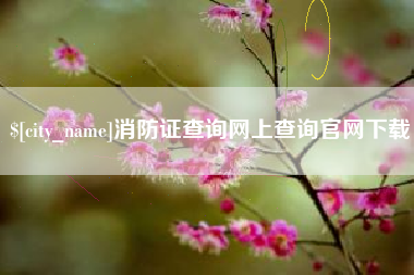巴中消防证查询网上查询官网下载