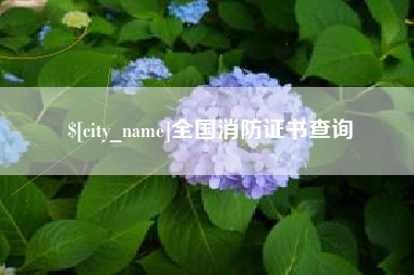 巴中全国消防证书查询