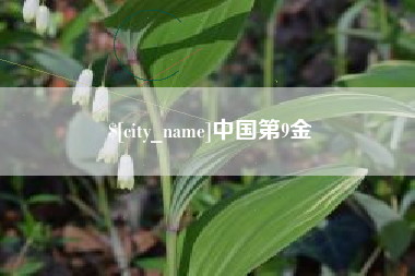 巴中中国第9金