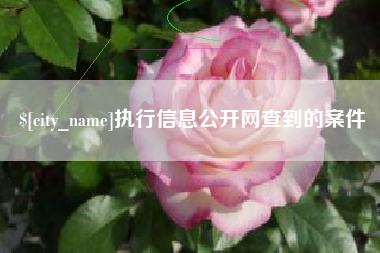巴中执行信息公开网查到的案件