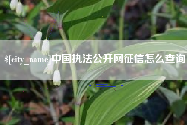 巴中中国执法公开网征信怎么查询