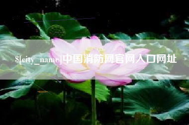 巴中中国消防网官网入口网址