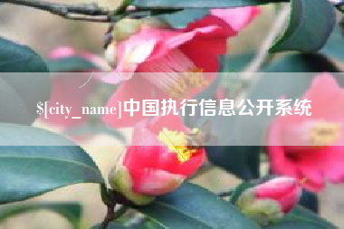 巴中中国执行信息公开系统