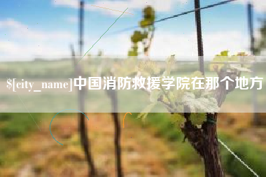 巴中中国消防救援学院在那个地方