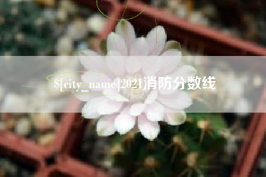 巴中2021消防分数线