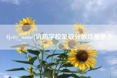 巴中消防学校录取分数线是多少