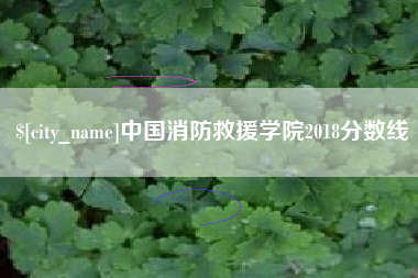巴中中国消防救援学院2018分数线