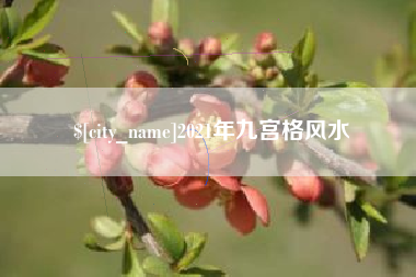 巴中2021年九宫格风水