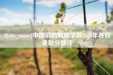 巴中中国消防救援学院2020年各省录取分数线
