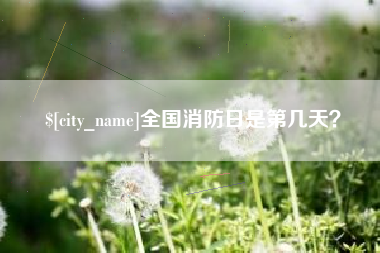 巴中全国消防日是第几天？