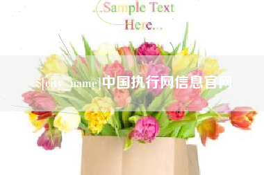 巴中中国执行网信息官网