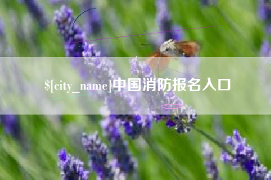 巴中中国消防报名入口