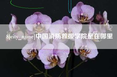 巴中中国消防救援学院是在哪里