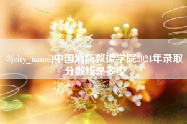 巴中中国消防救援学院2024年录取分数线是多少