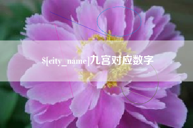 巴中九宫对应数字