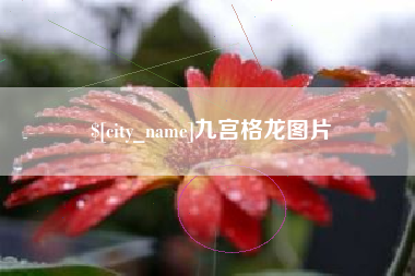巴中九宫格龙图片