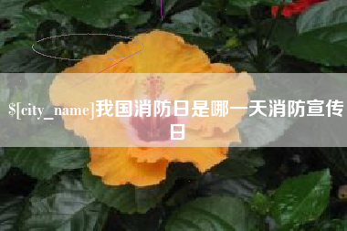 巴中我国消防日是哪一天消防宣传日