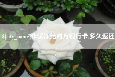 巴中诈骗冻结对方银行卡,多久返还