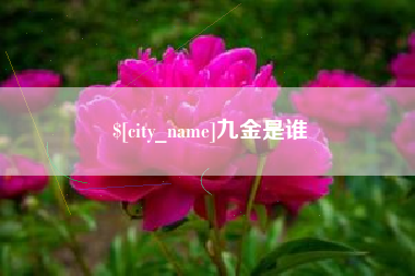 巴中九金是谁
