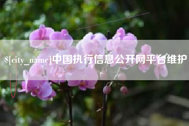 巴中中国执行信息公开网平台维护