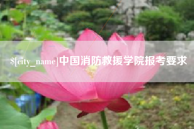 巴中中国消防救援学院报考要求