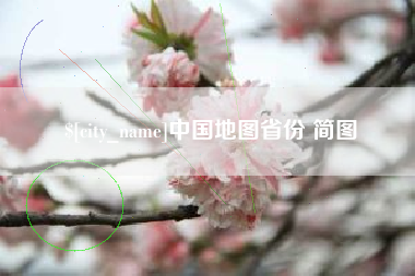 巴中中国地图省份 简图