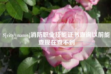 巴中消防职业技能证书查询以前能查现在查不到