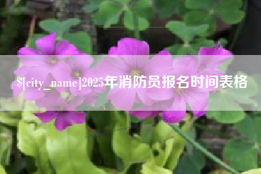 巴中2025年消防员报名时间表格