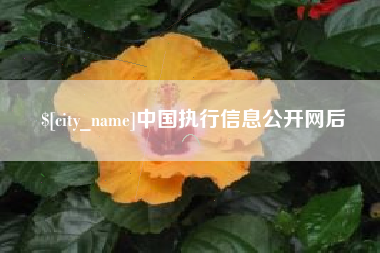 巴中中国执行信息公开网后