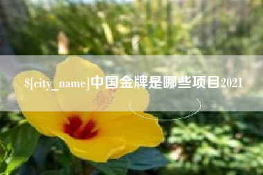 巴中中国金牌是哪些项目2021