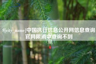 巴中中国执行信息公开网信息查询官网限消中查询不到
