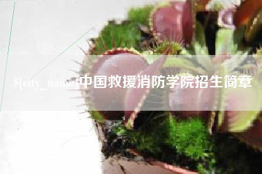 巴中中国救援消防学院招生简章