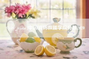 巴中中国消防救援学院分数2020