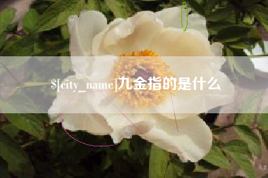 巴中九金指的是什么