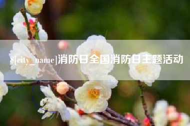 巴中消防日全国消防日主题活动