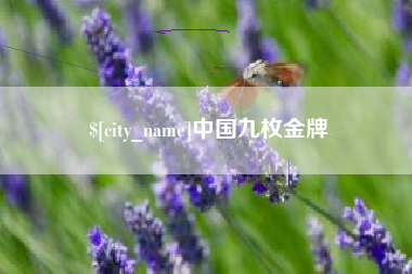 巴中中国九枚金牌