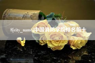 巴中中国消防学院排名前十