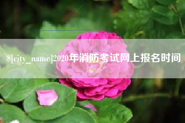 巴中2020年消防考试网上报名时间