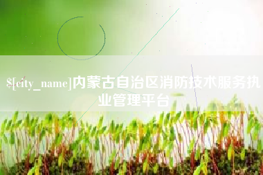 巴中内蒙古自治区消防技术服务执业管理平台