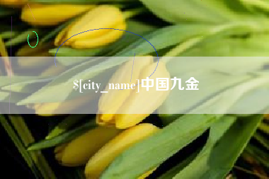 巴中中国九金