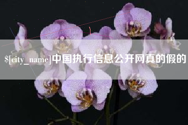 巴中中国执行信息公开网真的假的